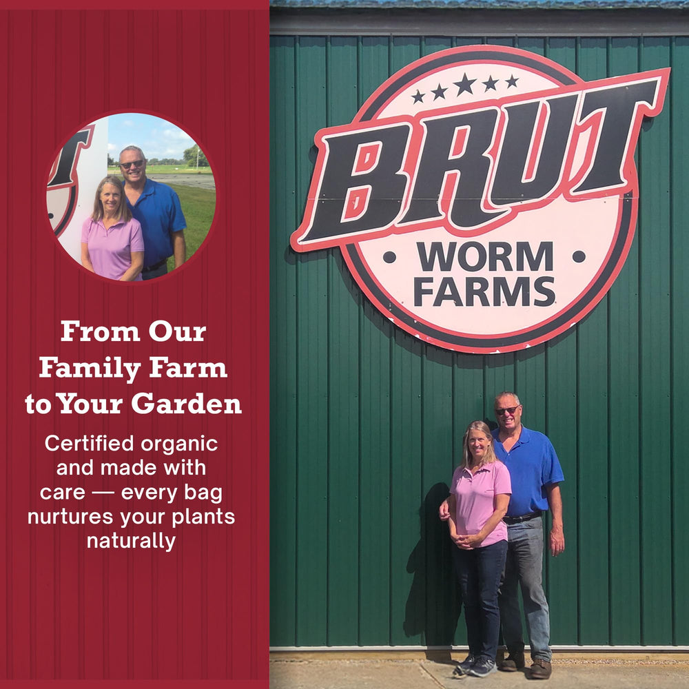BRUT WORM FARMS castings in soil-application for healthier roots