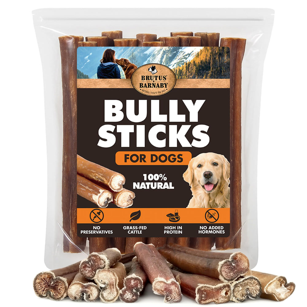 BRUTUS & BARNABY 6in bully stick for dogs, long-lasting chew for strong jaws.