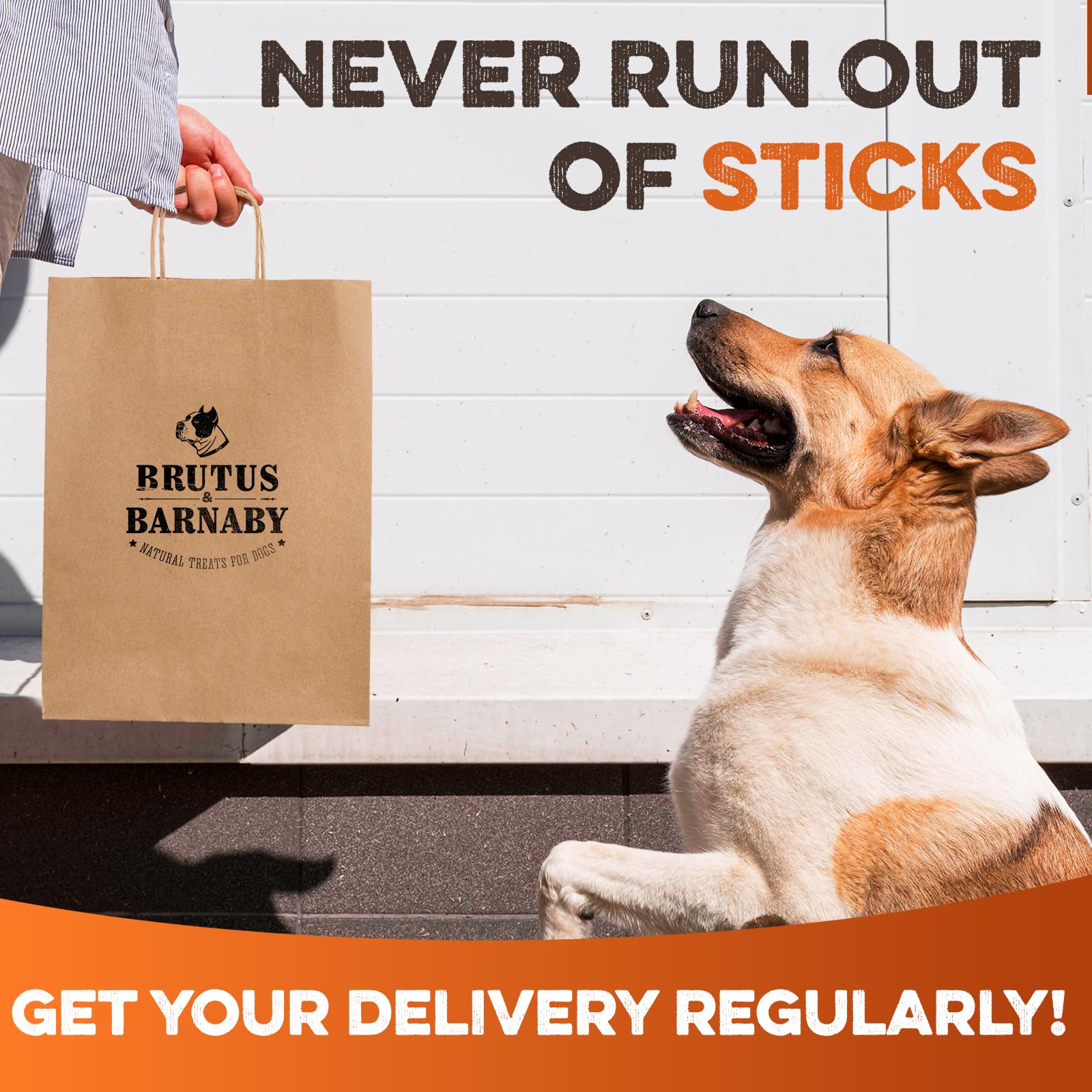 BRUTUS & BARNABY bulk-pack 12-count, convenient daily chew supply.