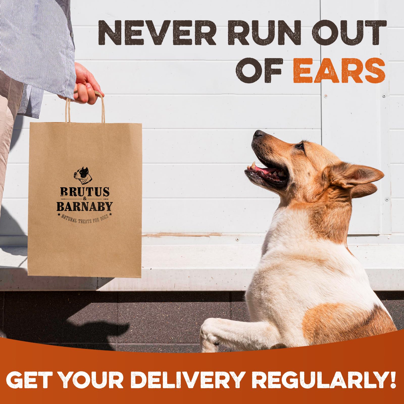 BRUTUS & BARNABY trusted by dog owners for over a decade