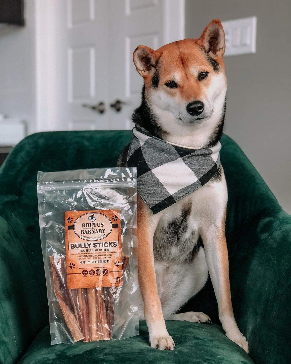 BRUTUS & BARNABY lab-tested for safety and consistency.