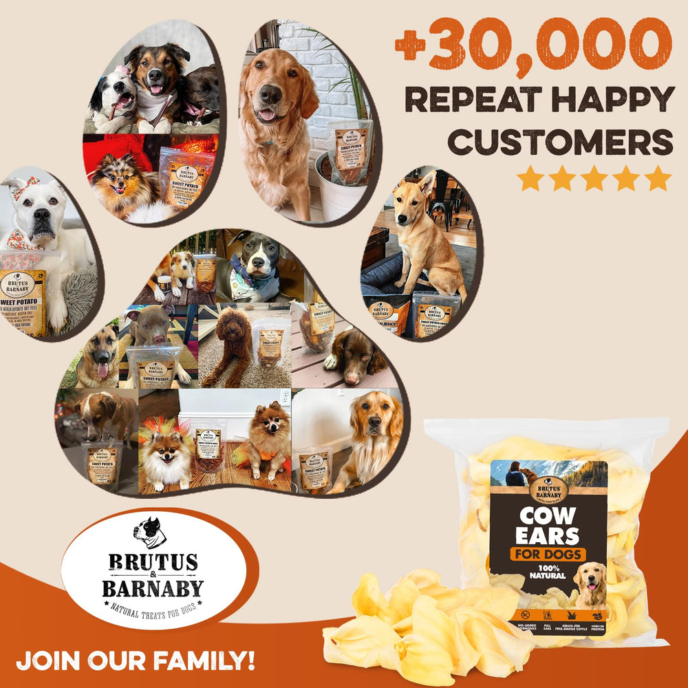 BRUTUS & BARNABY thick-cut ears deliver durable chews for dogs
