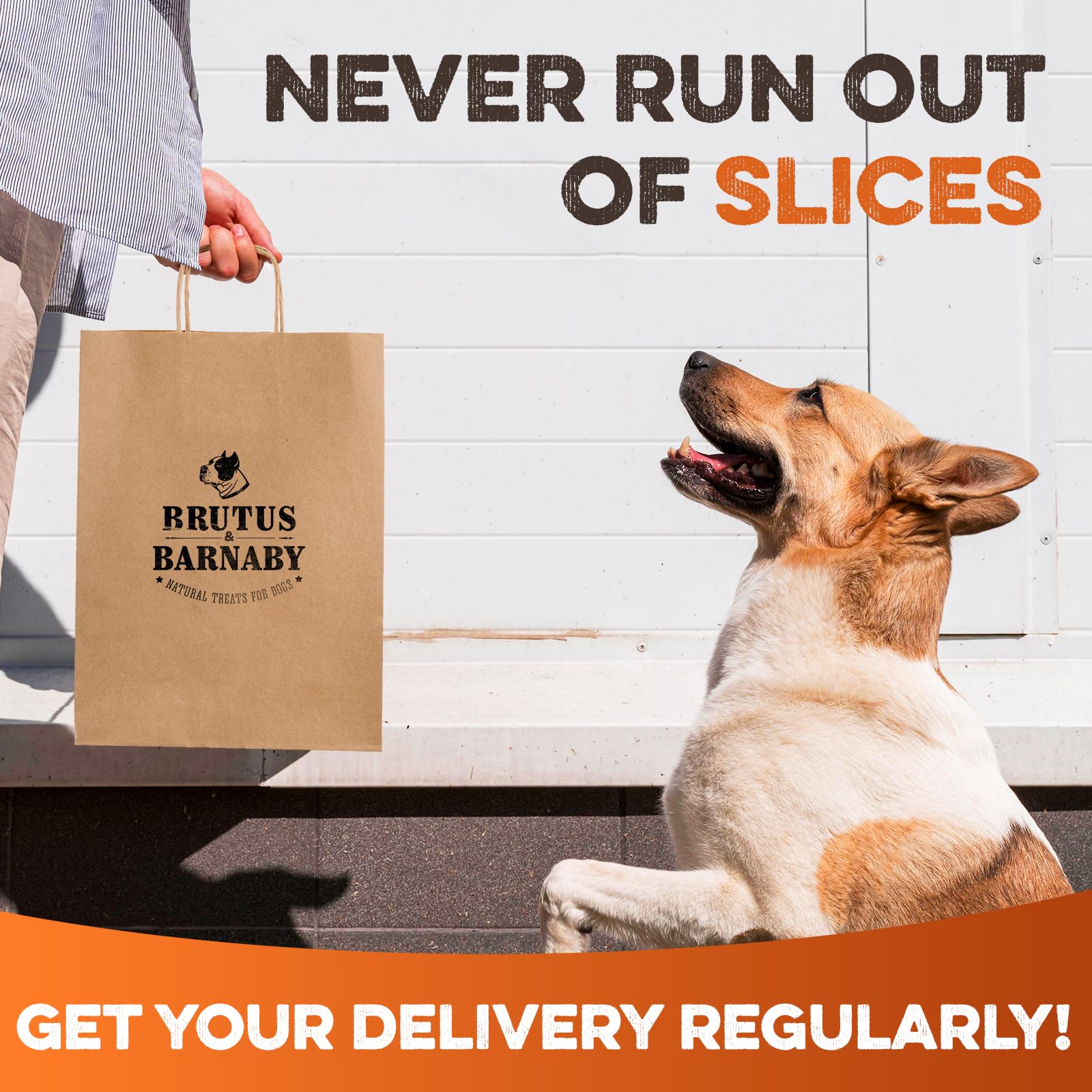 BRUTUS & BARNABY No artificial flavors or preservatives.