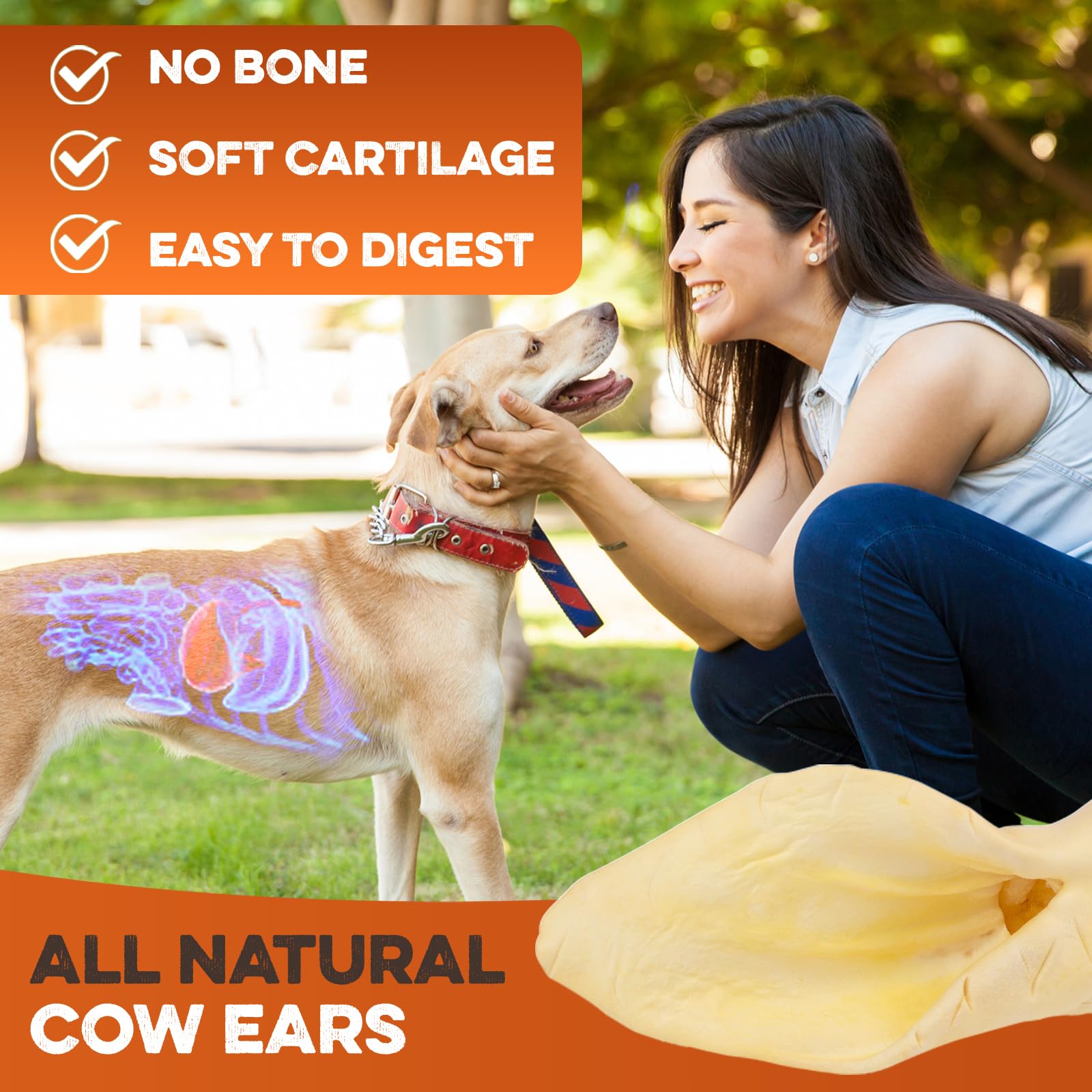 BRUTUS & BARNABY bone-free chew for safe chewing sessions