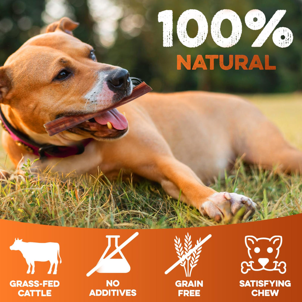 BRUTUS & BARNABY odor-free bully stick, mess-free dog treat.