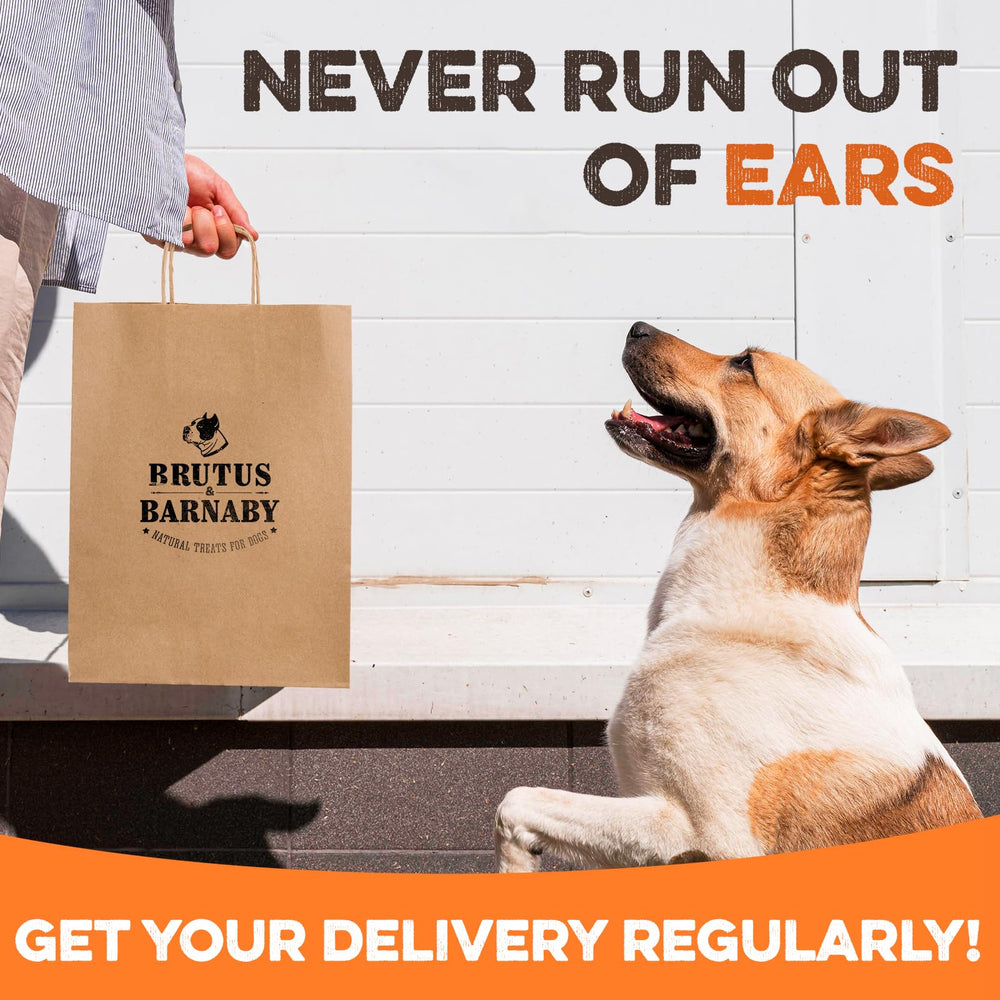 BRUTUS & BARNABY natural single-ingredient chew, simple and premium.