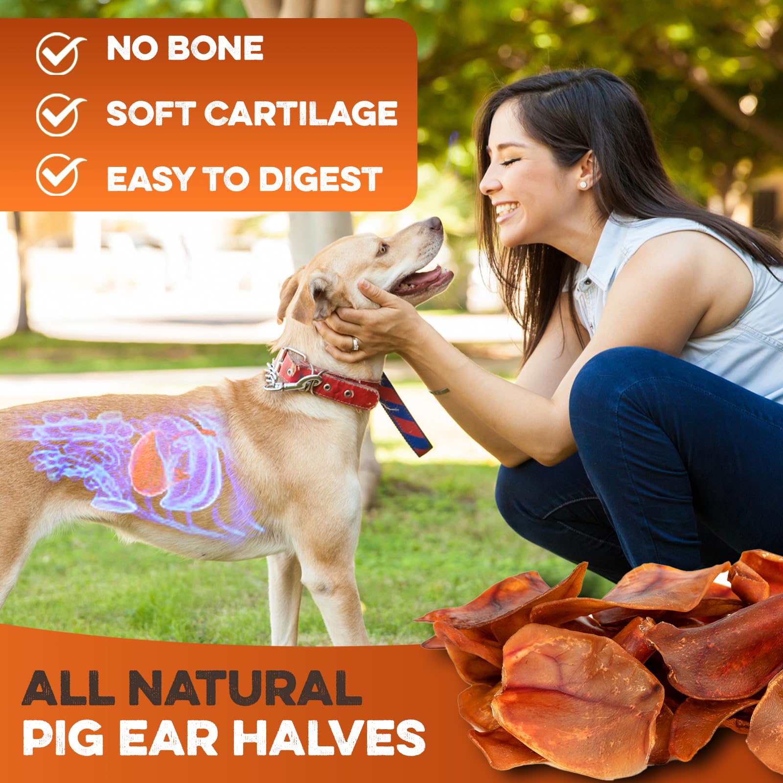 BRUTUS & BARNABY thick chews for a lasting, satisfying bite.