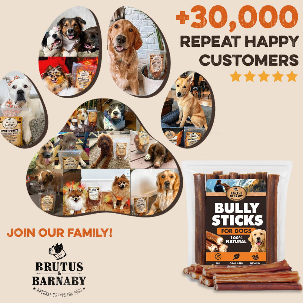 BRUTUS & BARNABY puppy-friendly chew, safe teething relief.