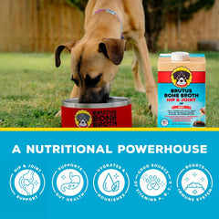 Brutus Bone Broth serving bowl demonstrates easy feeding and hydration.