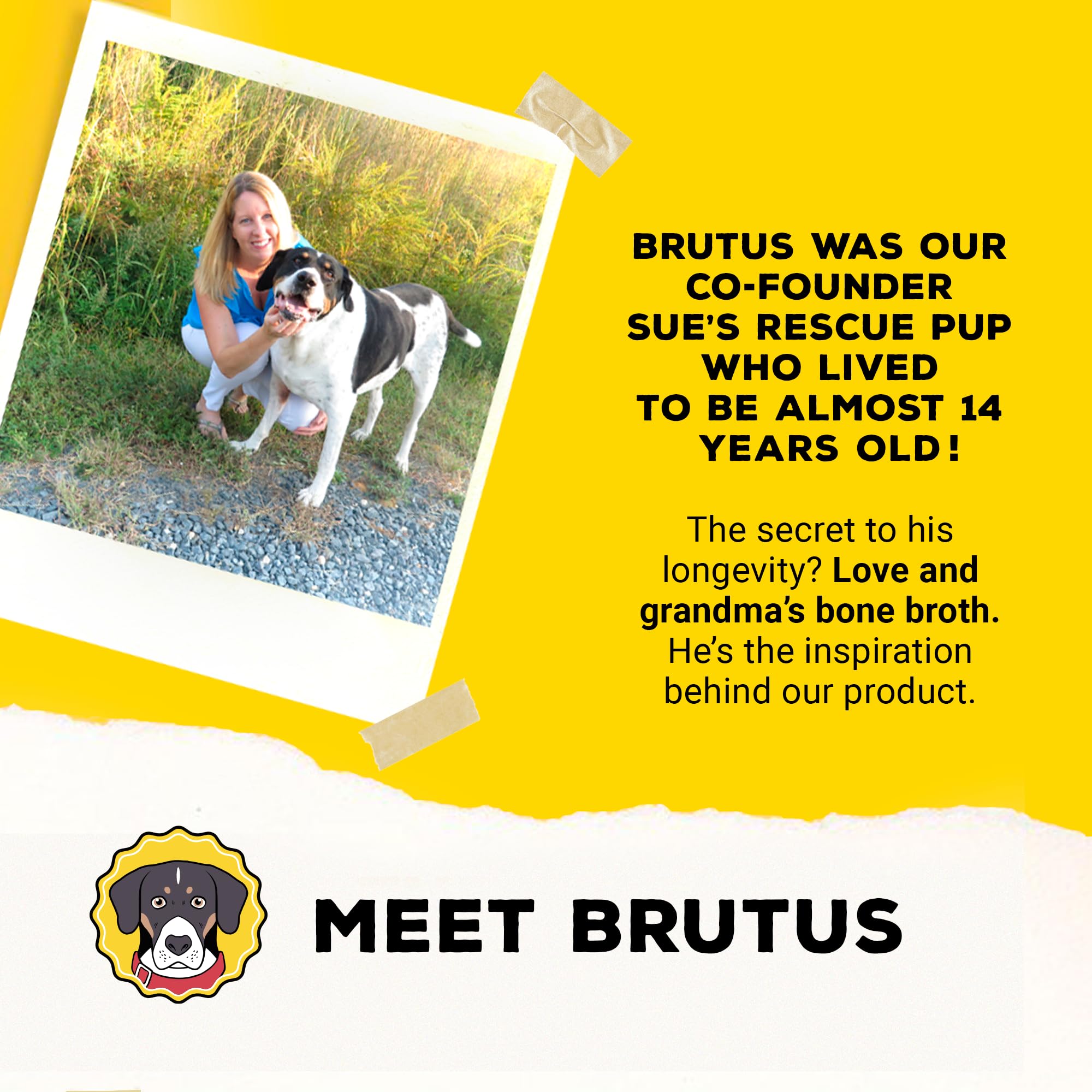 Brutus Bone Broth six-pack provides convenient home use.