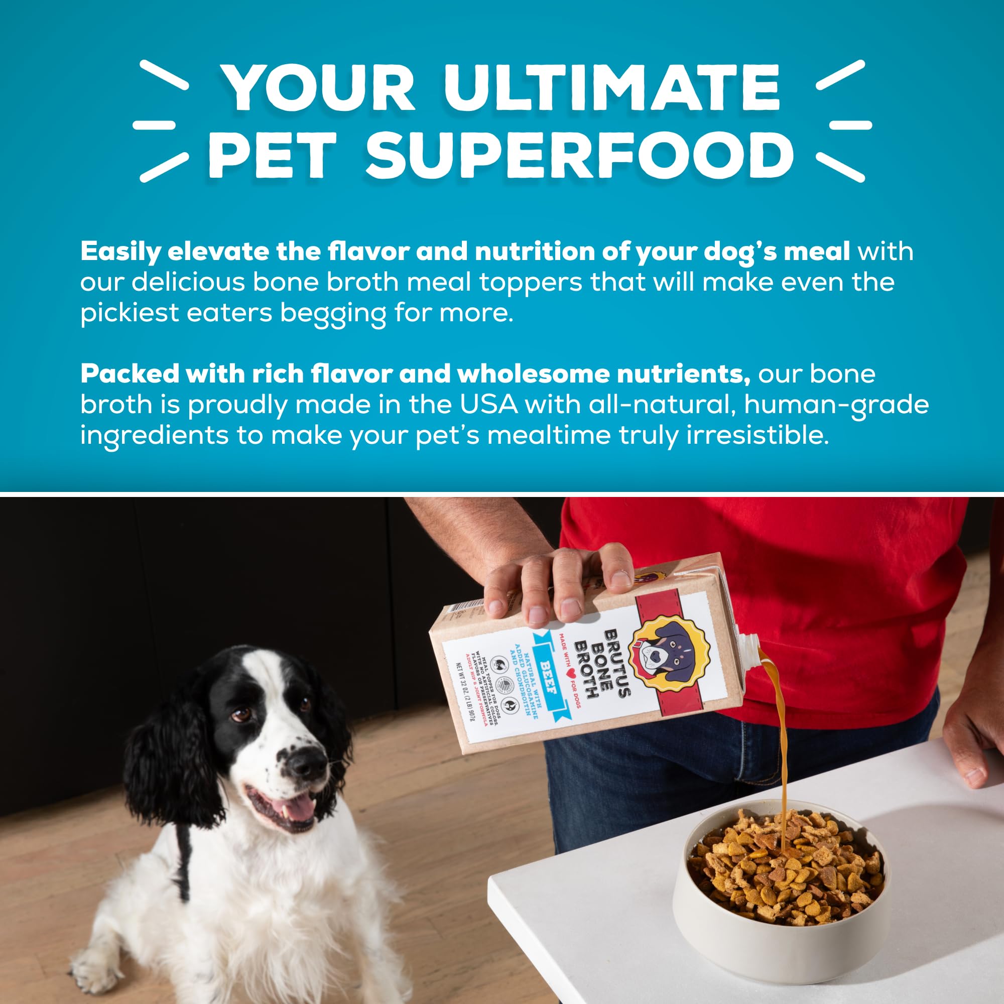 Brutus Bone Broth served in a bowl to top dog food meals