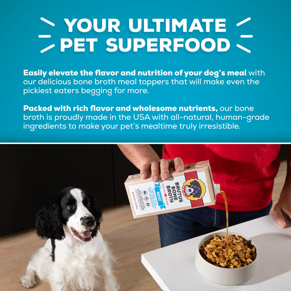 Brutus Bone Broth served in a bowl to top dog food meals