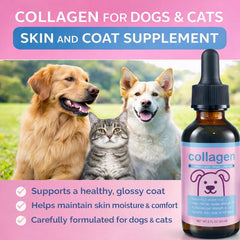BRYWSDHA Liquid Collagen for cats coat softness and skin hydration