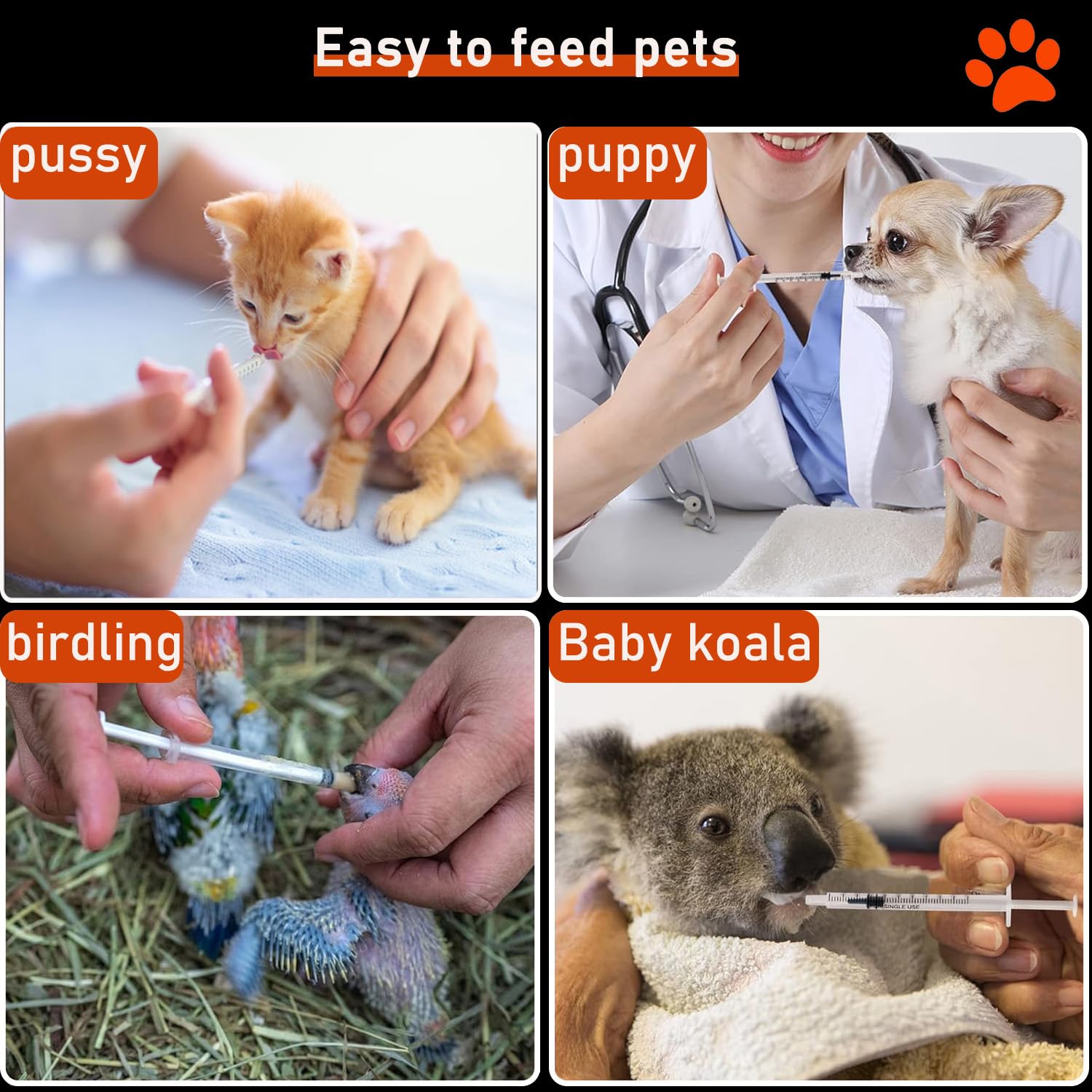 BSeWenerte 1ml syringe for gentle pet feeding.