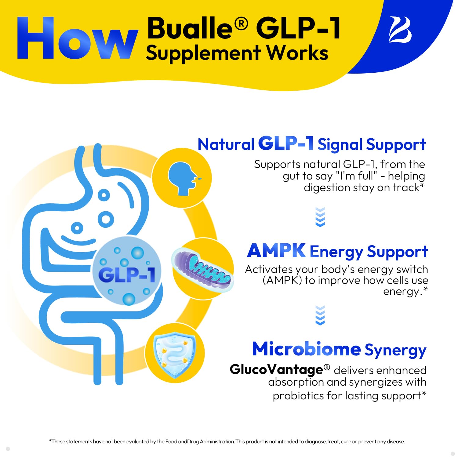Graphic showing time-release feature for extended GLP-1 support.