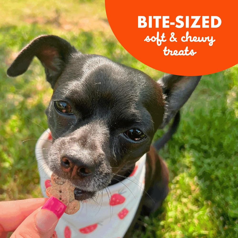 Buddy Biscuits No Artificial Colors signals a clean labeling approach.