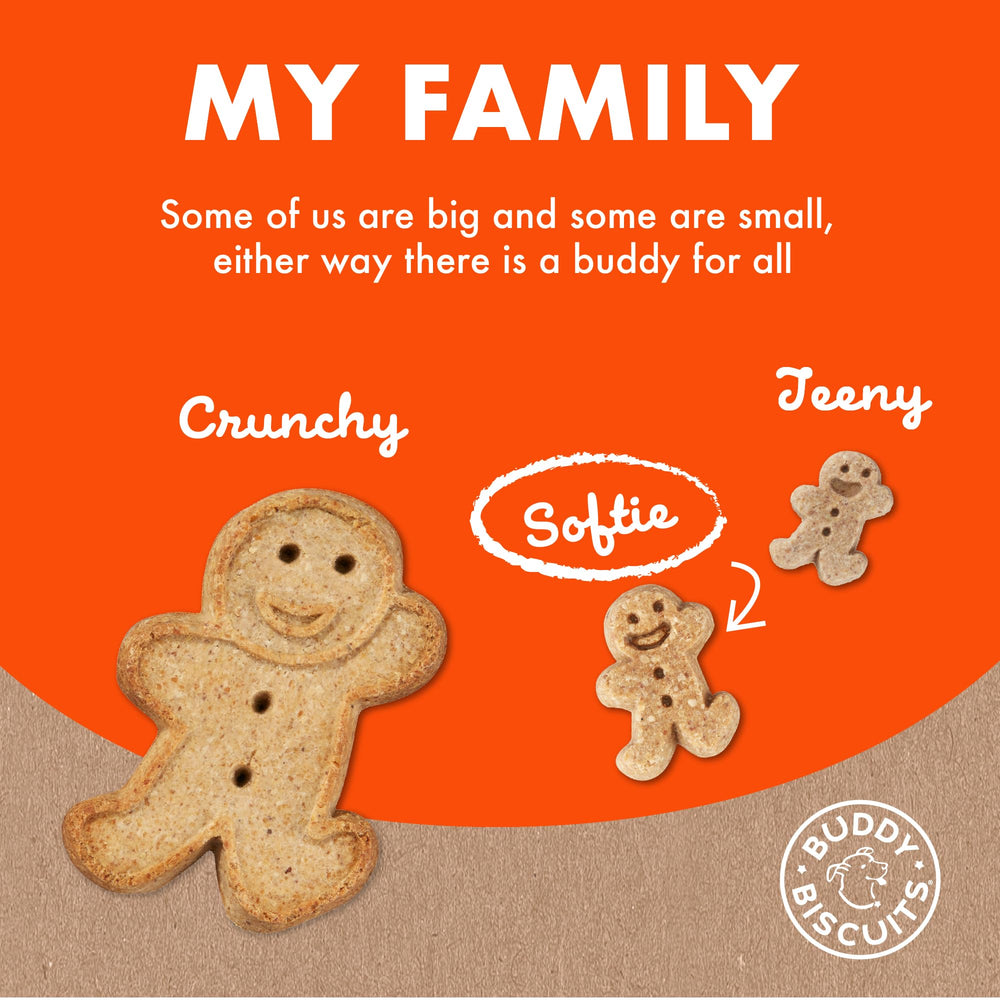 Buddy Biscuits Small to Medium Dogs scene illustrates suitable daily rewards.