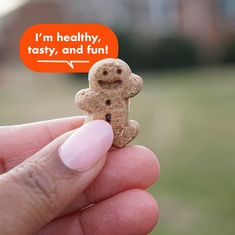Buddy Biscuits Soft Chewy Texture demonstrates easy-to-chew dog treats.