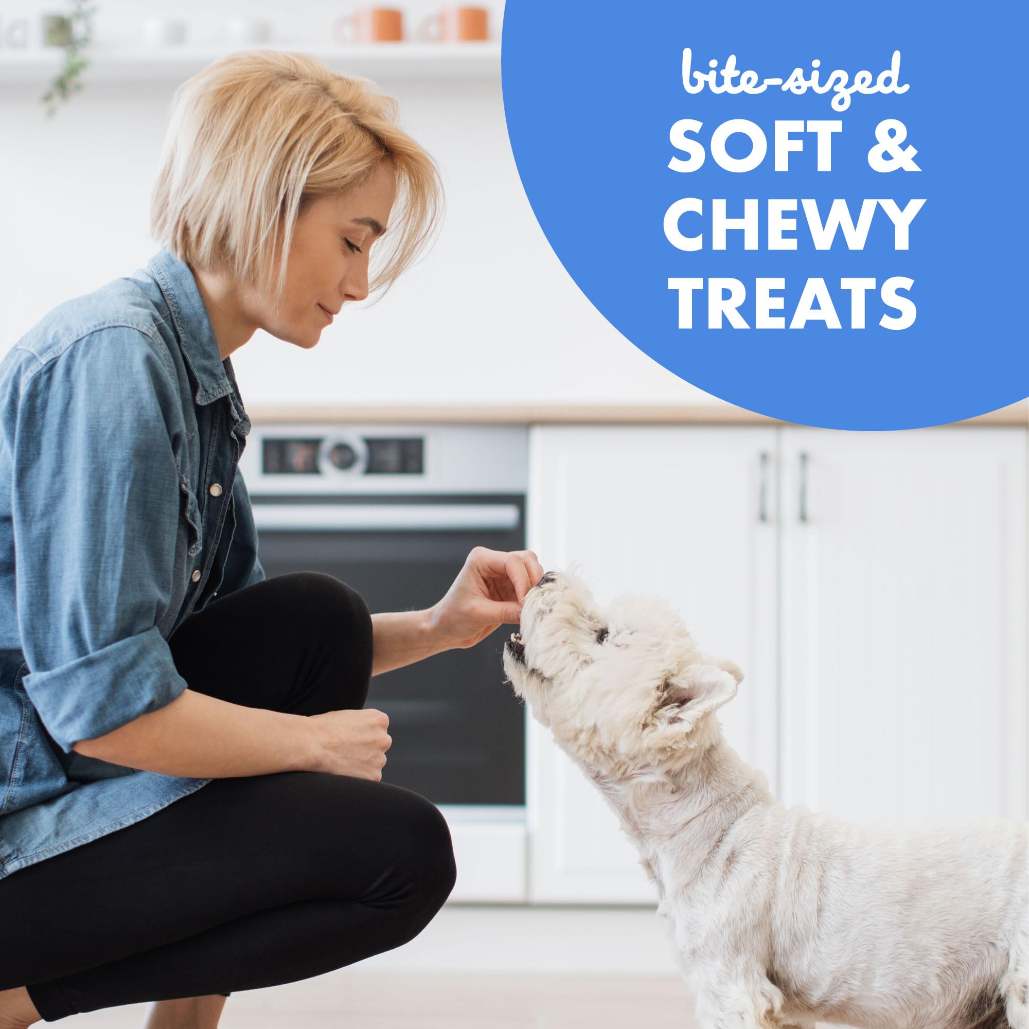 Buddy Biscuits Trainers 10 Oz 500 treats per bag.