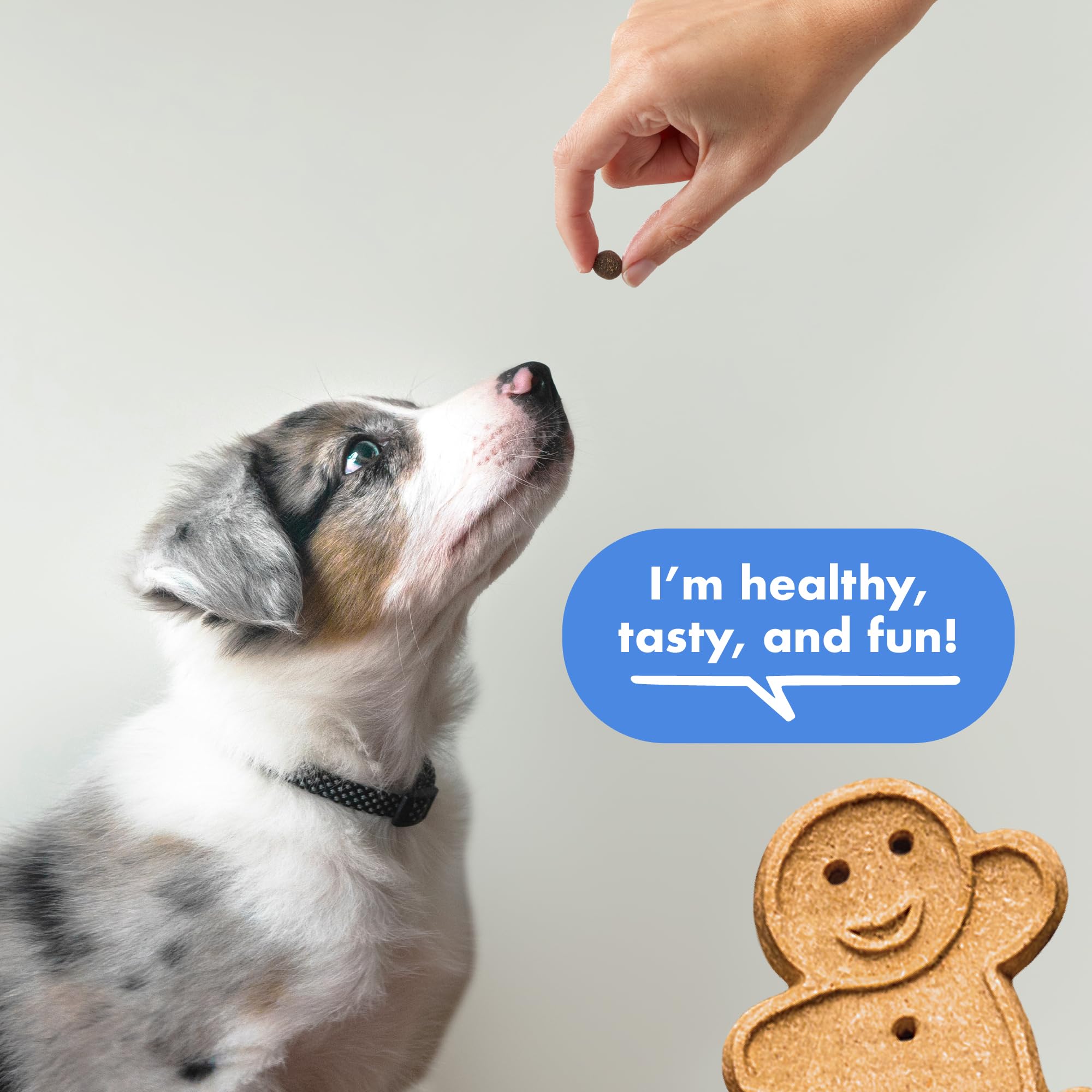 Buddy Biscuits Trainers 10 Oz tiny treats for small dogs.