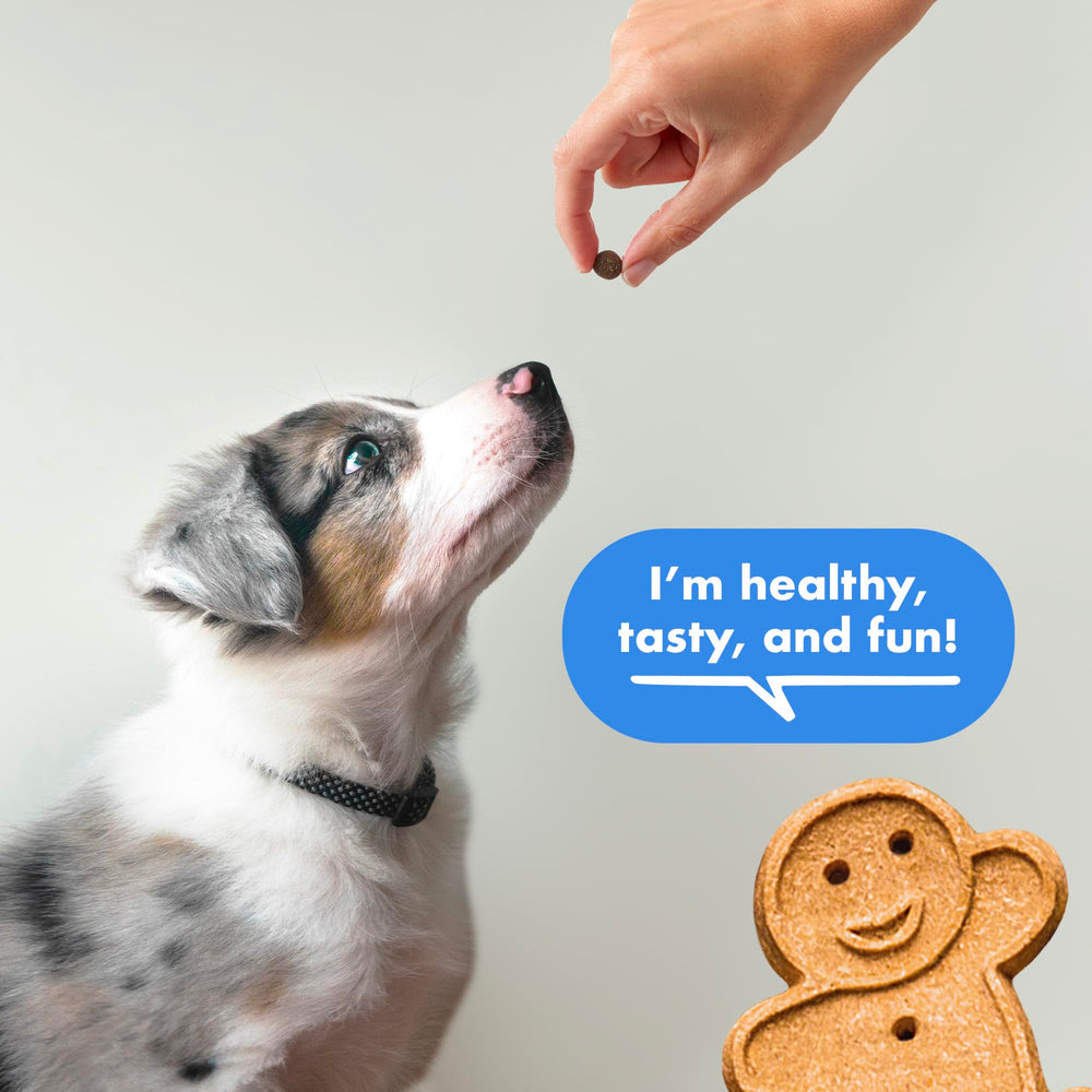 Buddy Biscuits Trainers 10 Oz tiny treats for small dogs.