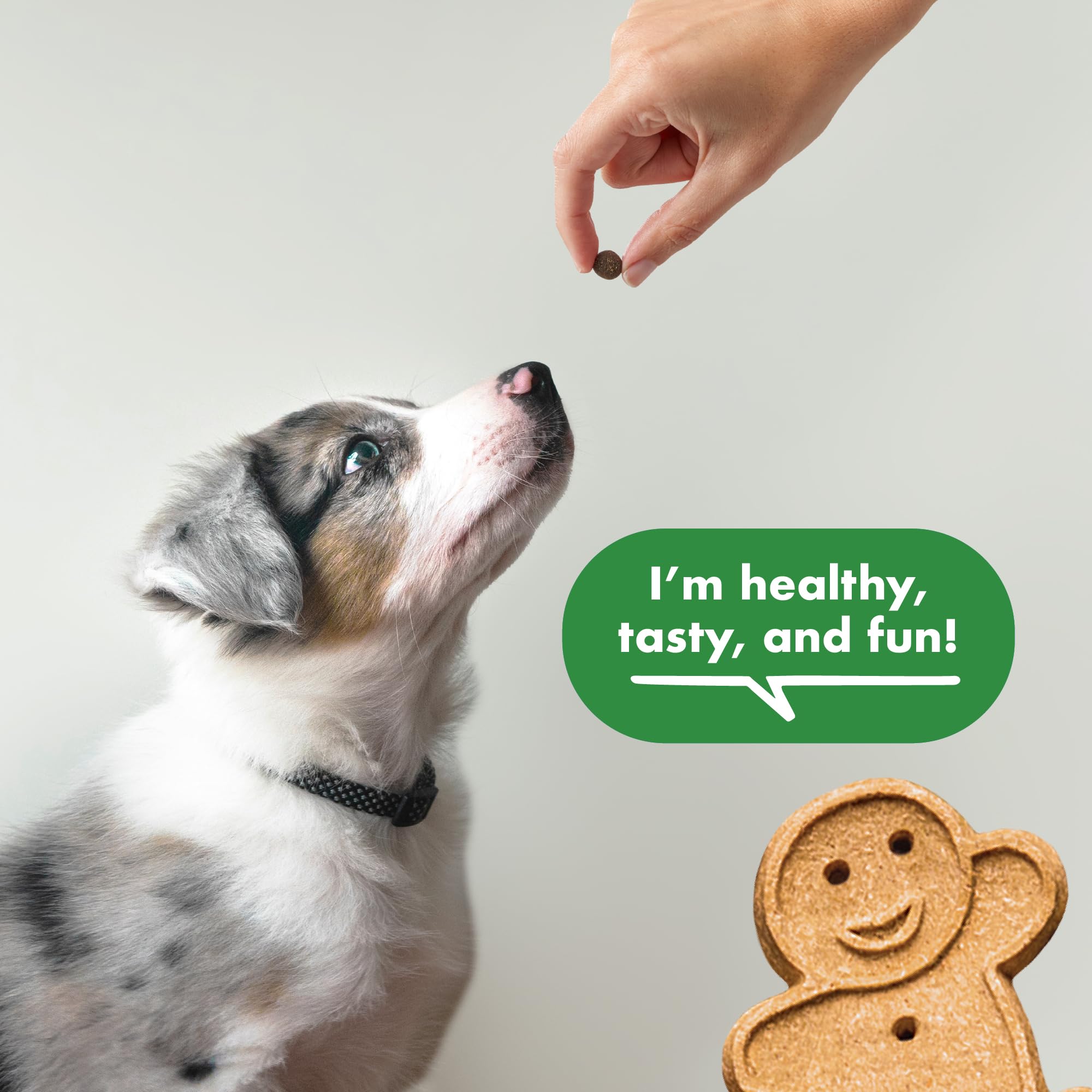 Open bag reveals 500 treats per bag for extended training.