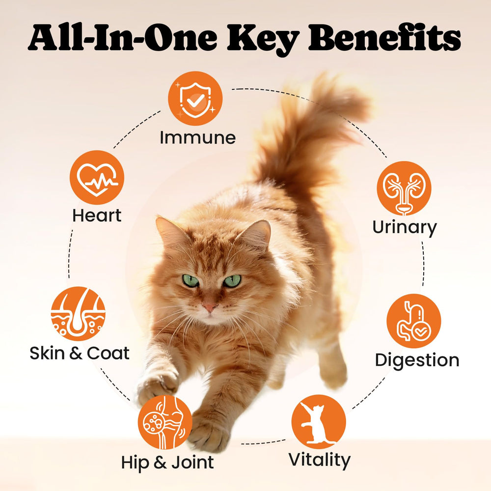 Lysine and Taurine immune blend shown in BuddyCheer cat vitamins