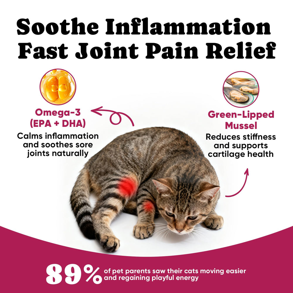 BuddyCheer chondroïtine chat: soutien du cartilage et de l amorti naturel