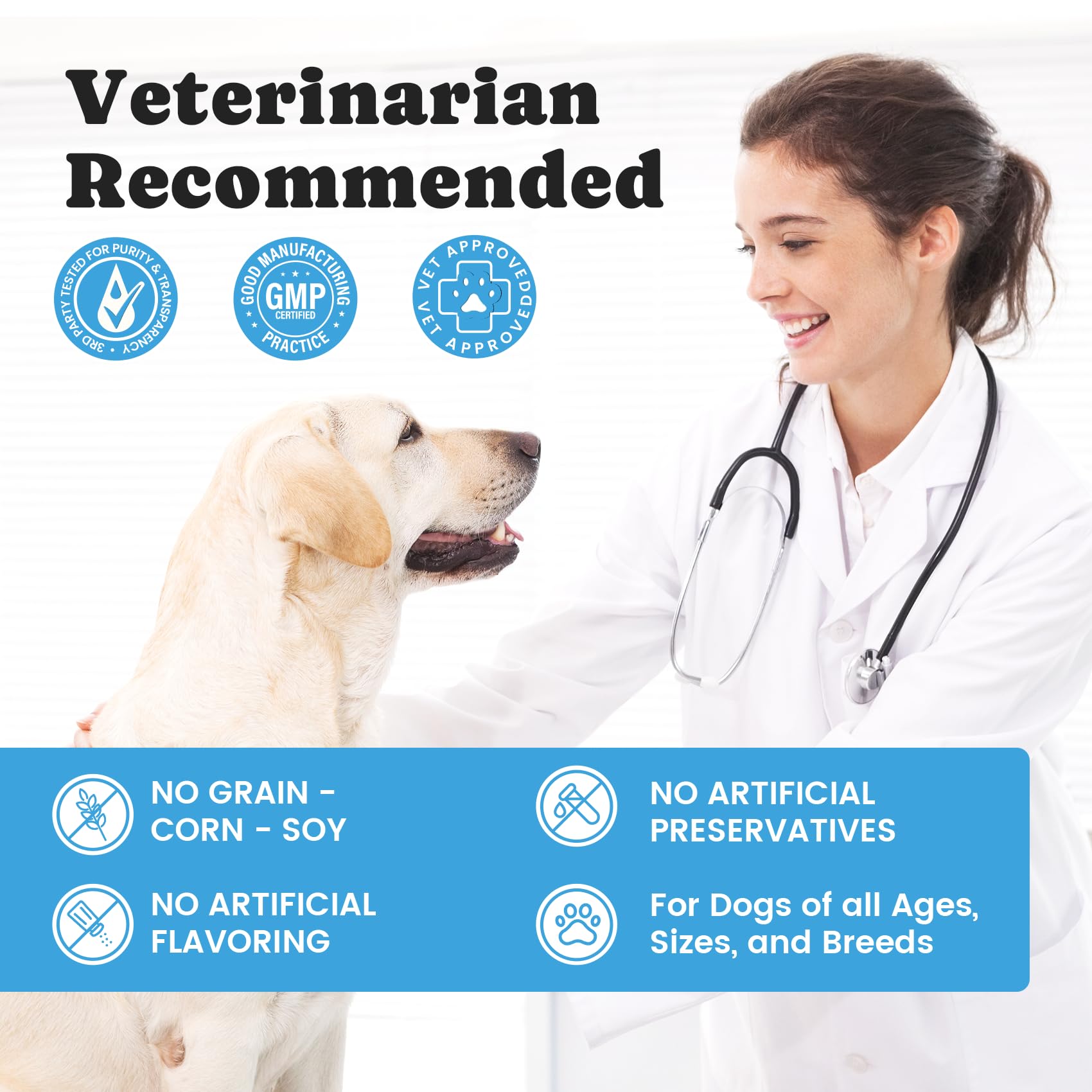 BuddyCheer complete omega3-6-9 dog supplement scene underscores balanced fatty acids.