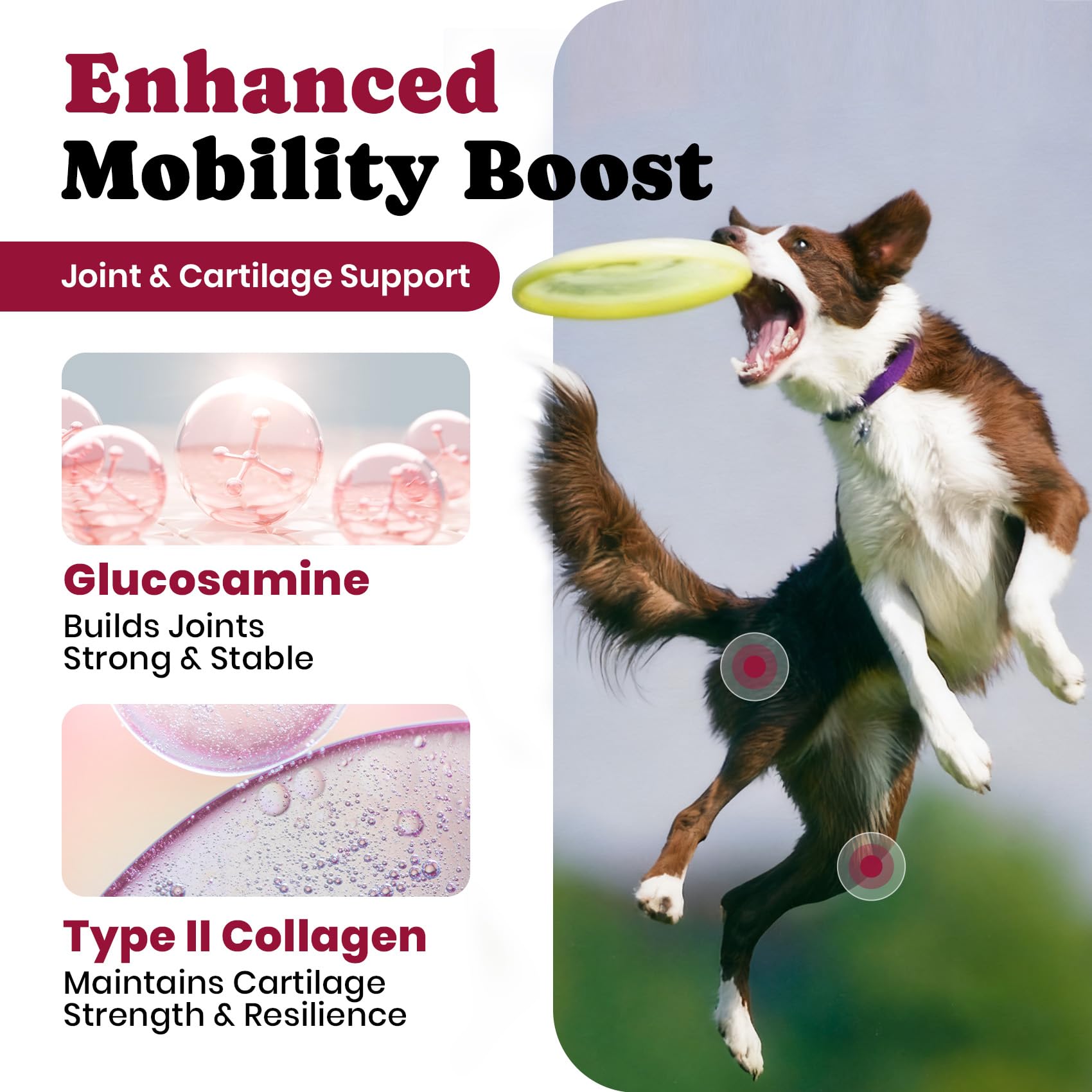 BuddyCheer 180-count bottle label highlights long-lasting joint care.