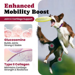 BuddyCheer 180-count bottle label highlights long-lasting joint care.