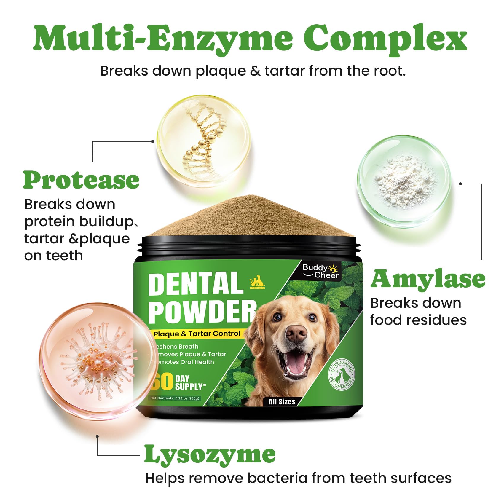 BuddyCheer dental powder works with any toothbrush kit