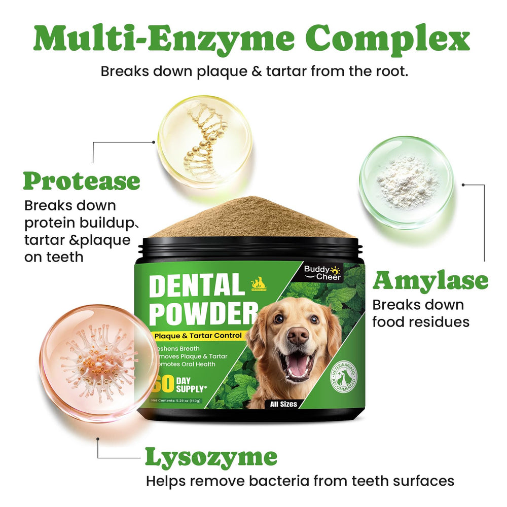 BuddyCheer dental powder works with any toothbrush kit
