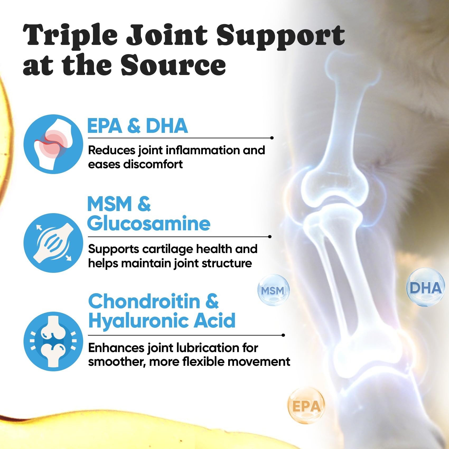 BuddyCheer dry skin relief for dogs illustration emphasizes itch reduction.