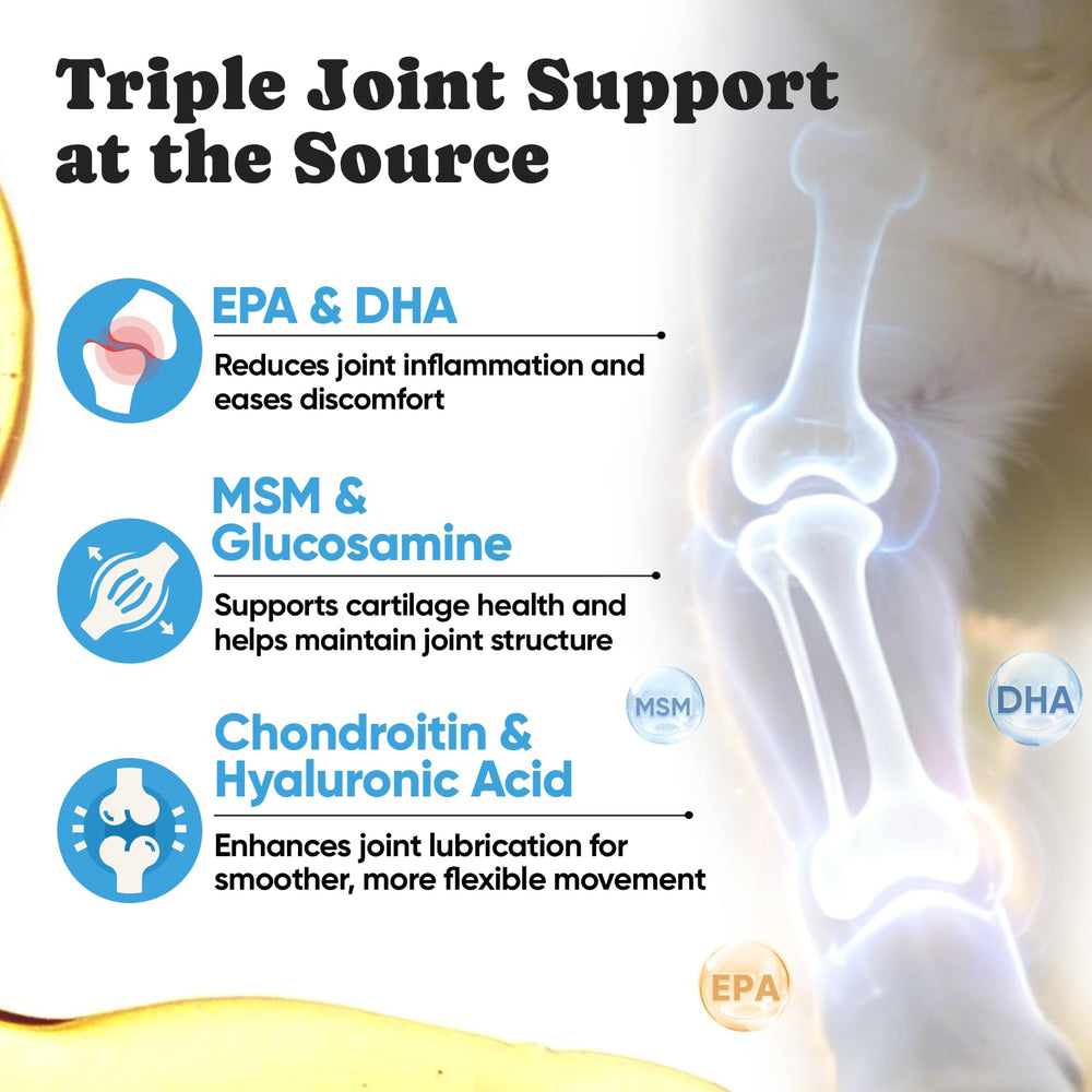 BuddyCheer dry skin relief for dogs illustration emphasizes itch reduction.