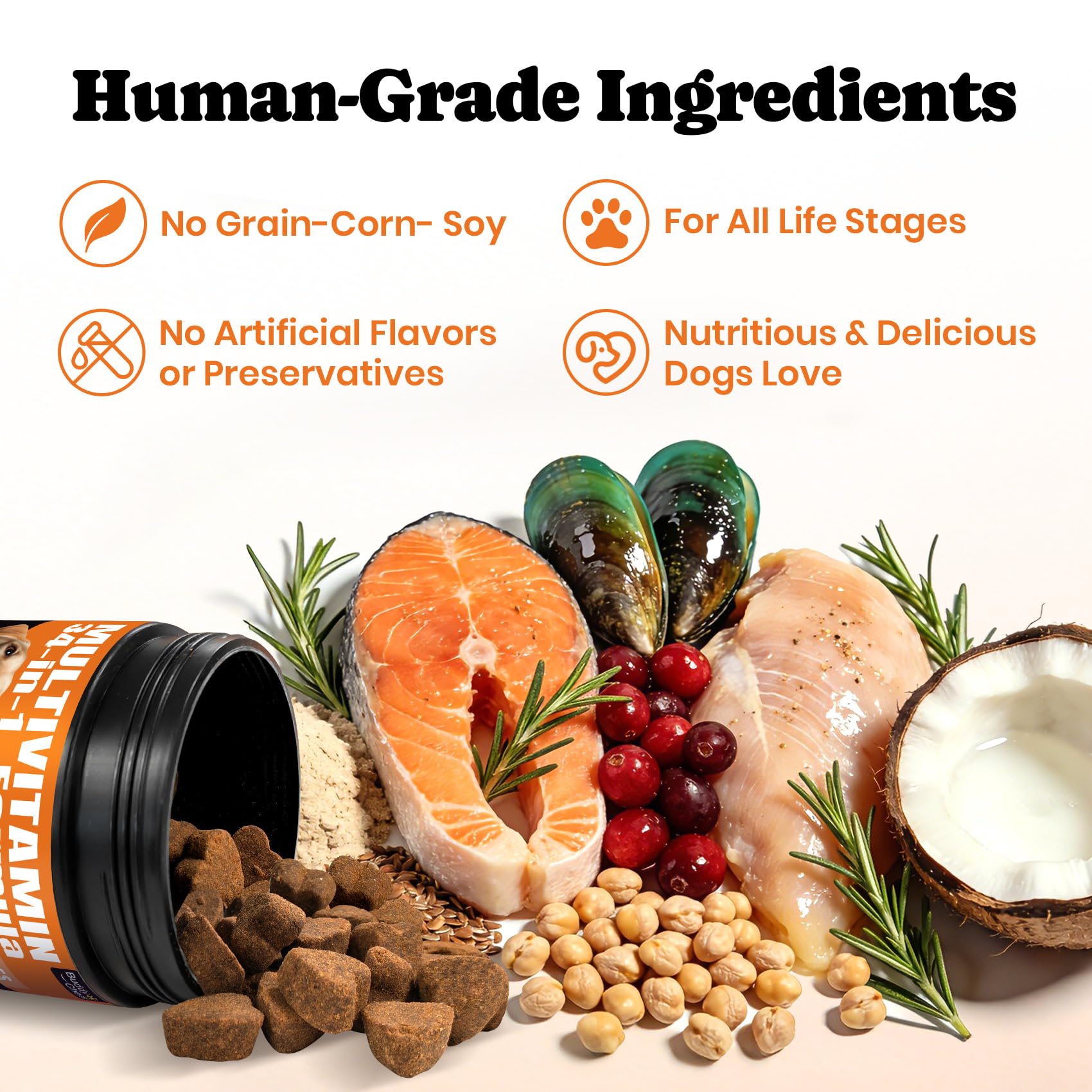 BuddyCheer gut health visuals with probiotic blend promoting balanced digestion.