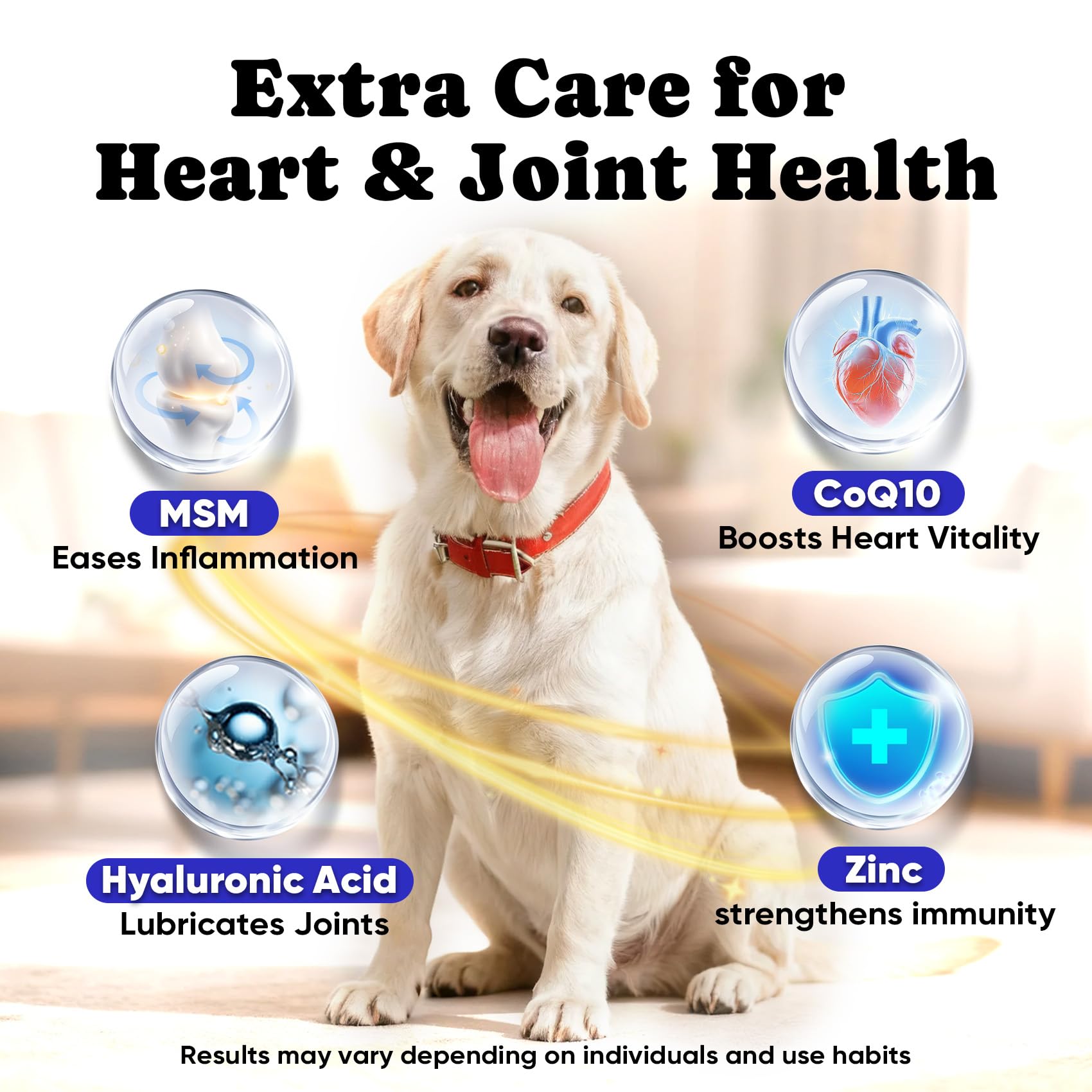 BuddyCheer Joint mobility support with MSM and hyaluronic acid