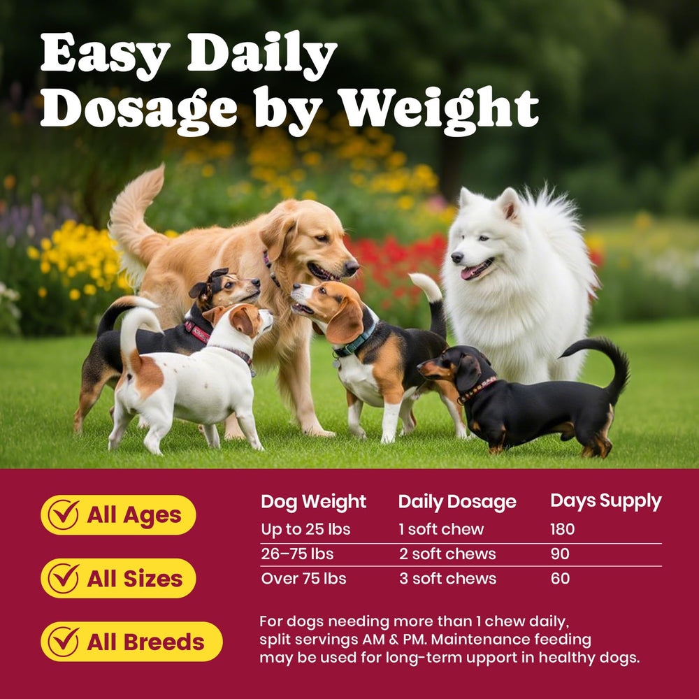 BuddyCheer large-breed joint chews on display for daily routines.