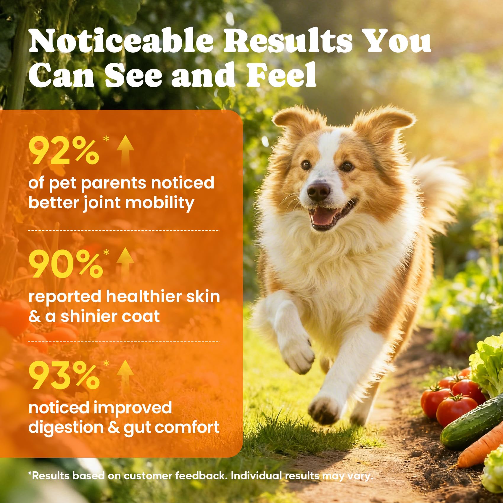 BuddyCheer omega-3 fish oil image for immune vitality and coat shine.
