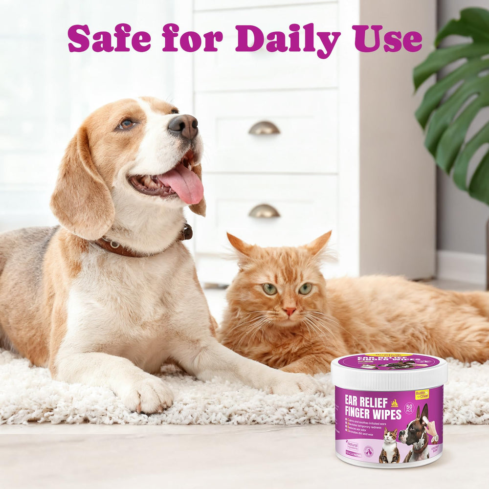 BuddyCheer wipes on-the-go use in car or travel