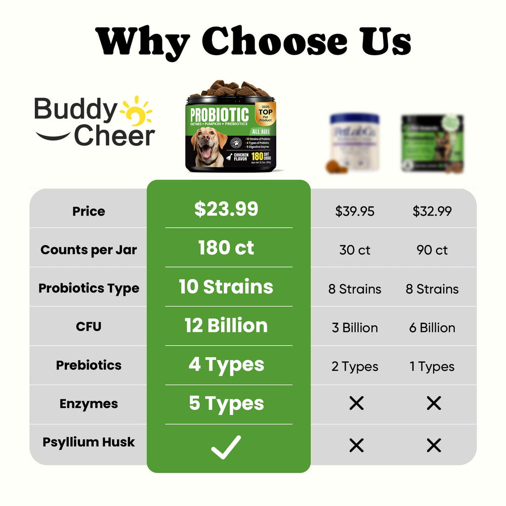 BuddyCheer Probiotics for Dogs breath freshness image implies fresher breath