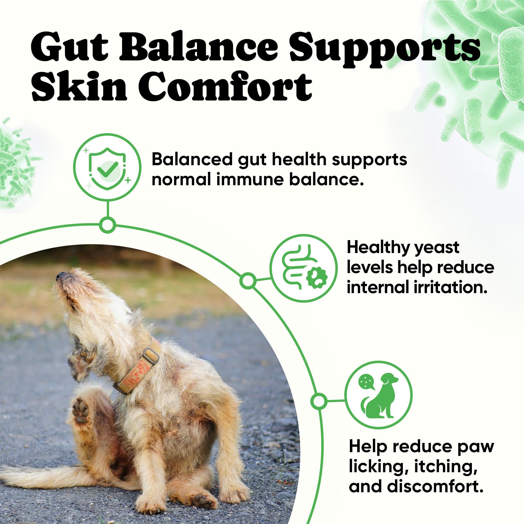 BuddyCheer Probiotics for Dogs digestive enzymes illustration highlights improved nutrient absorption