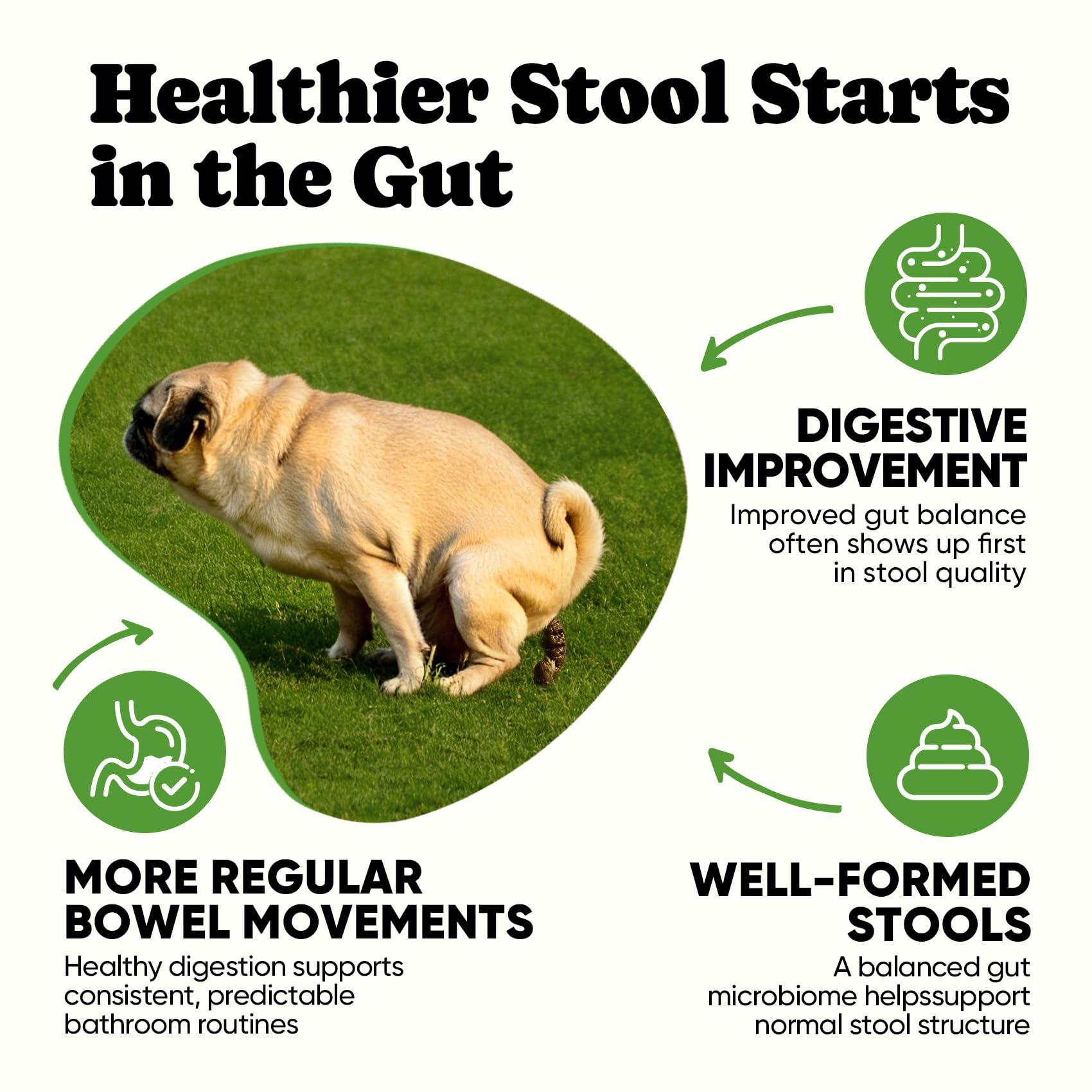 BuddyCheer Probiotics for Dogs soft chews closeup reveals palatable texture for picky dogs