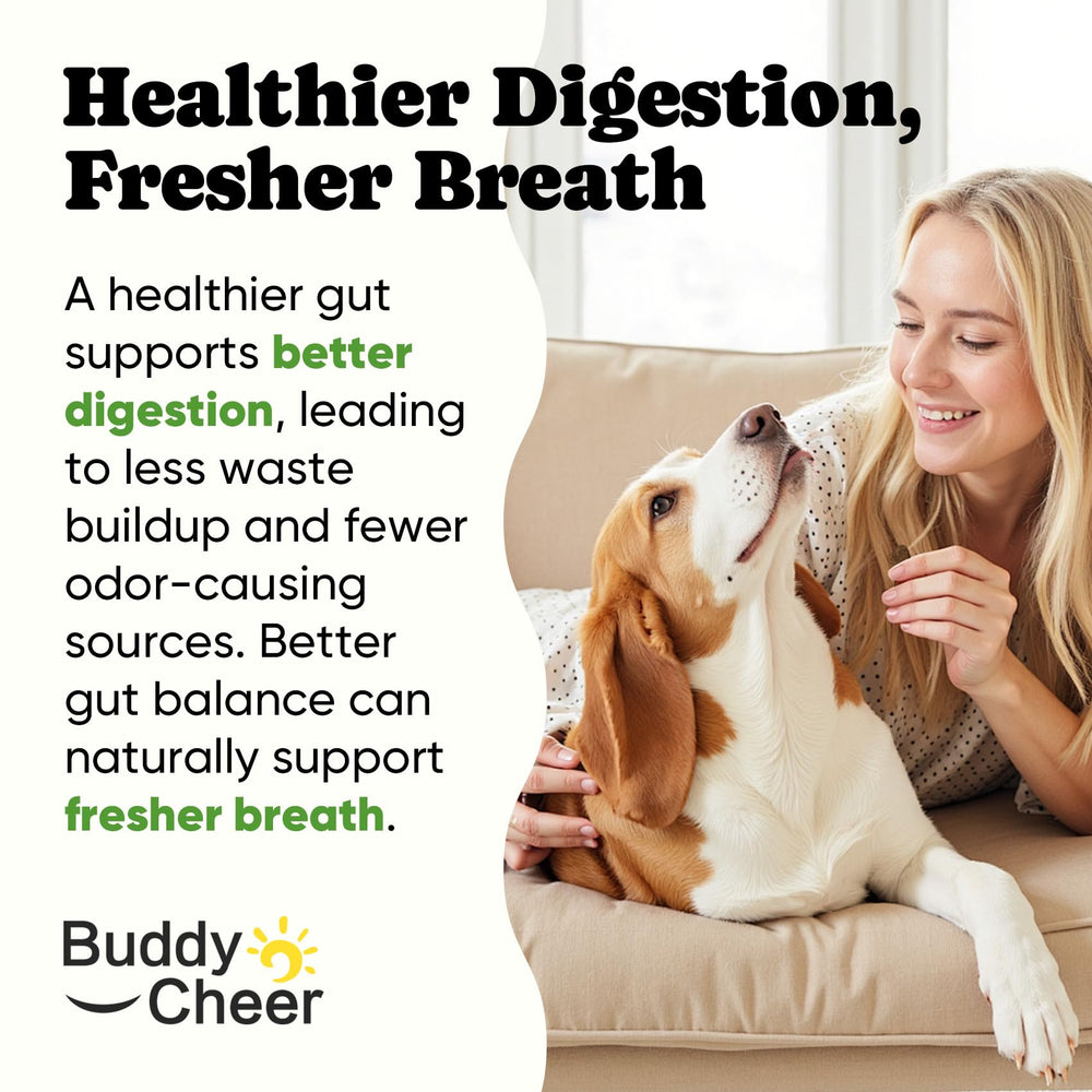 BuddyCheer Probiotics for Dogs stool improvement scene hints firmer stools