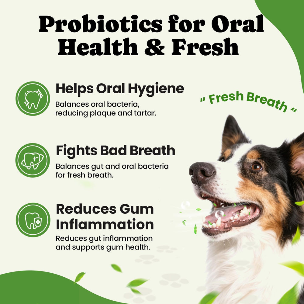 BuddyCheer Probiotiques chien – sachets individuels, dosage quotidien sans mesurer