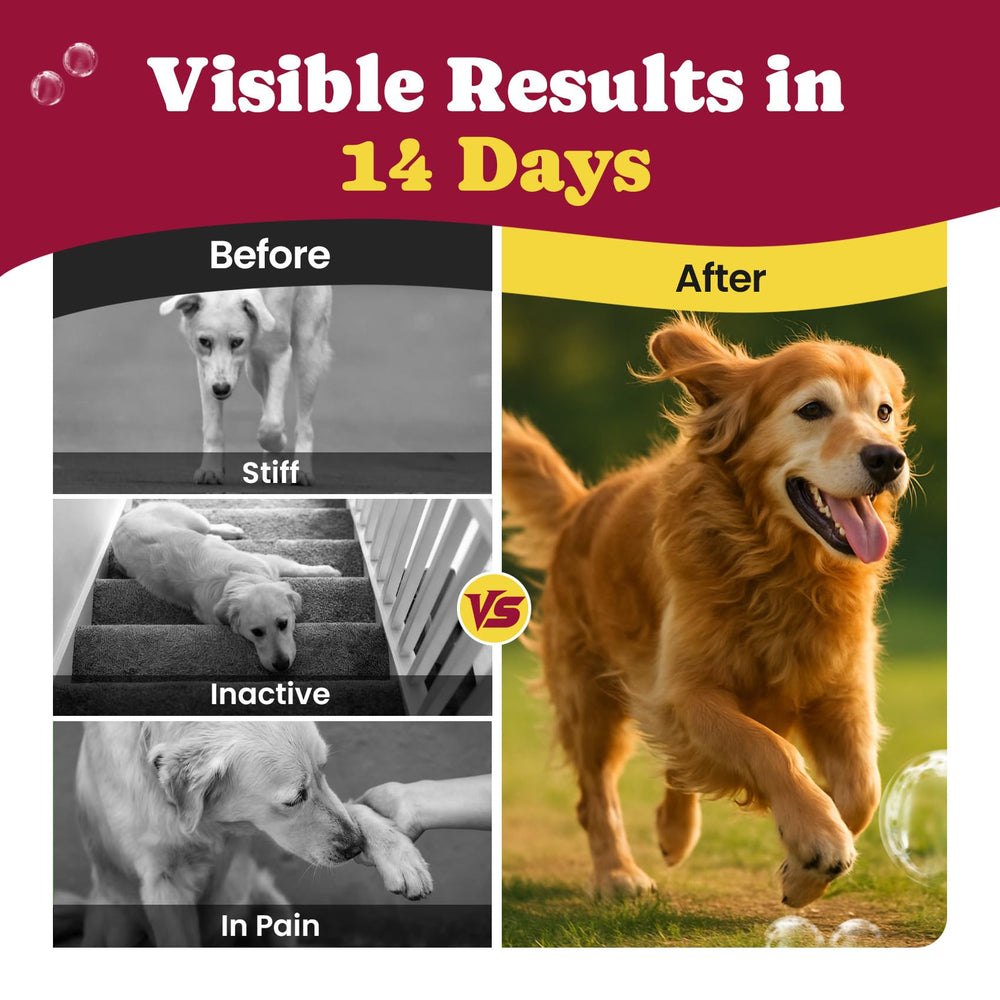 BuddyCheer senior large dog chews packaging showcases joint support.