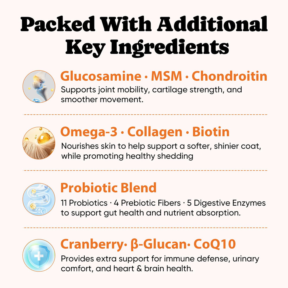 BuddyCheer skin and coat care image highlighting hydrolyzed collagen and omega-3 benefits.