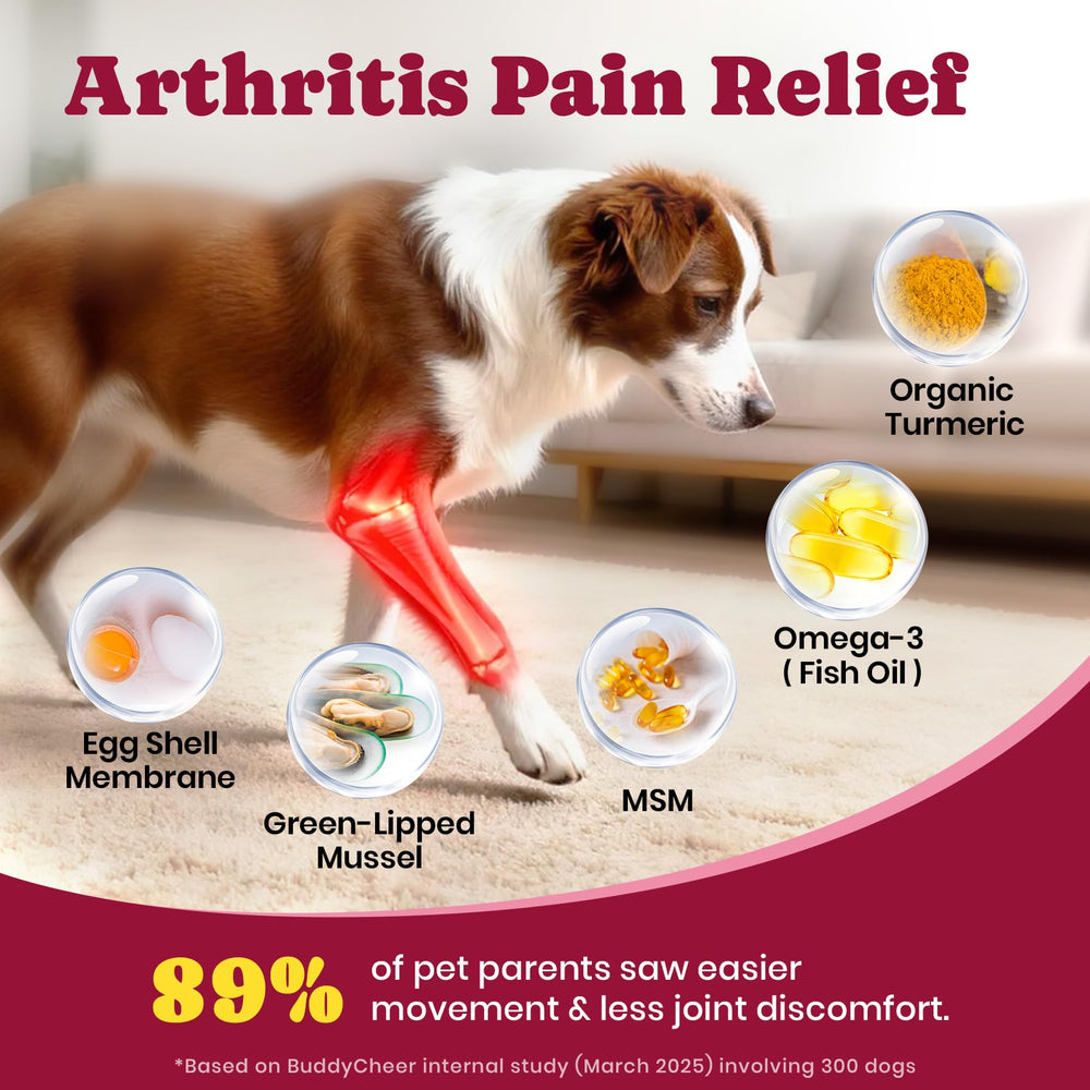 BuddyCheer turmeric omega-3 blend aids flexible movement and comfort.