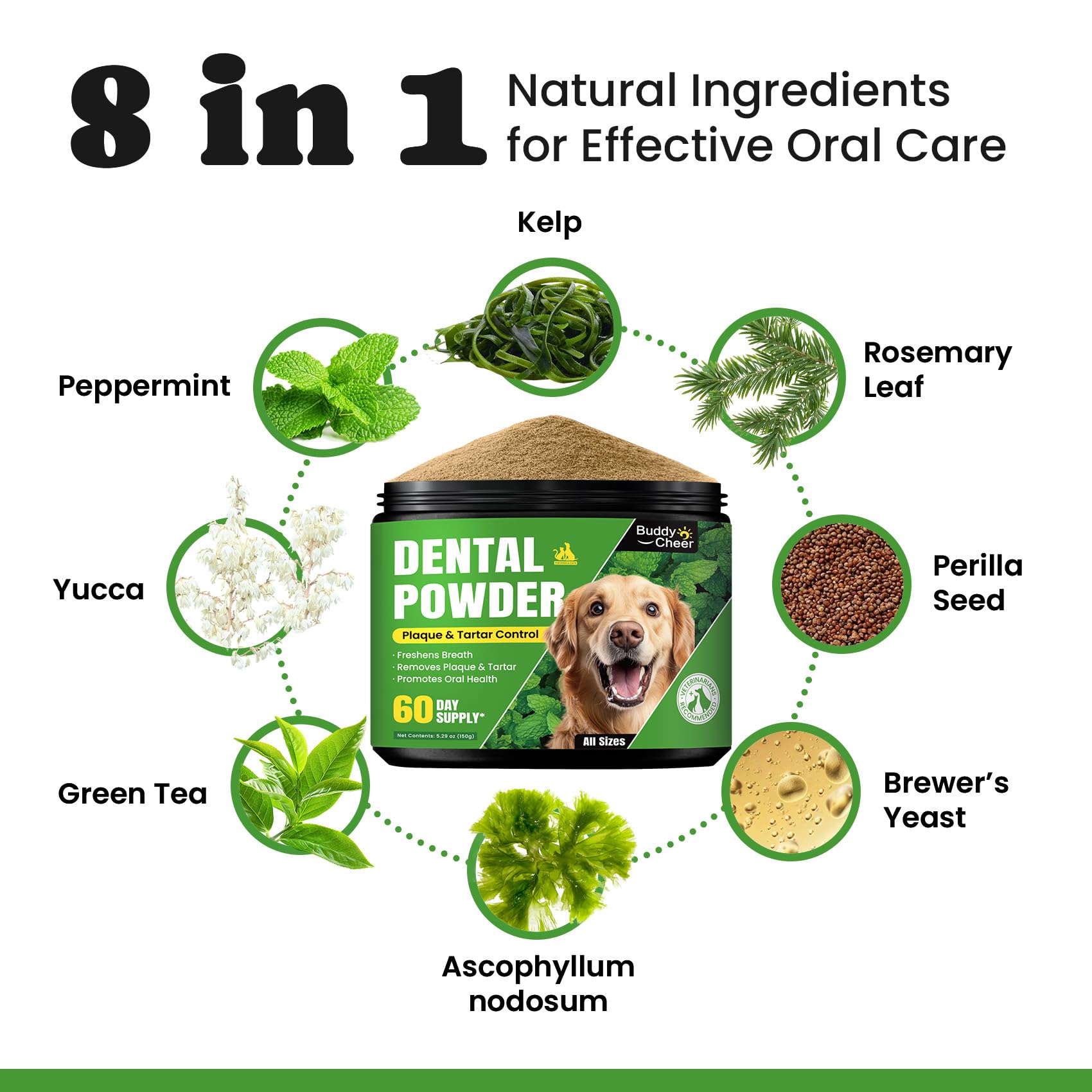BuddyCheer vet-approved dental powder with safe ingredients
