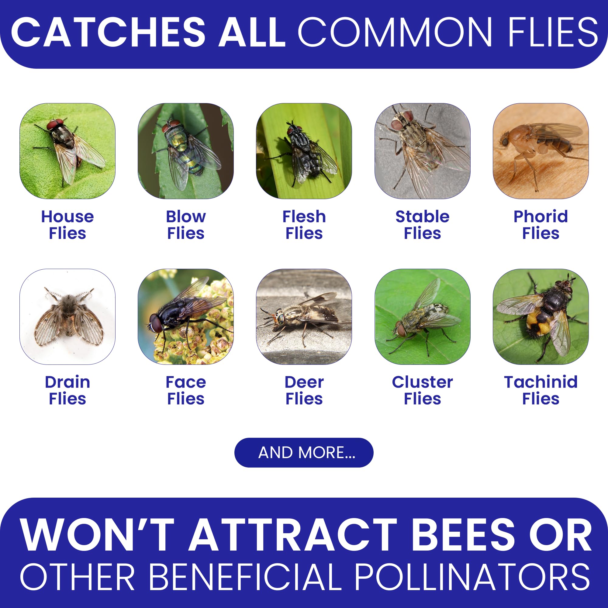 BugBane fly trap patio-catch hangs to help control yard pests near seating areas.